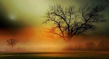 unusually beautiful Fog Scenic