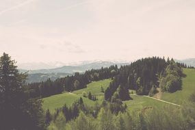 misty panorama of alpine summer landscape, austria, pledges