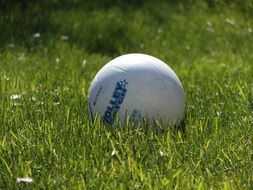 white ball in green grass