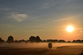 morning mist at dawn