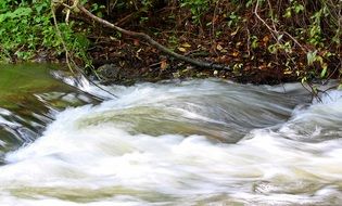 White water river