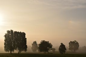 Landscape of the morning mist