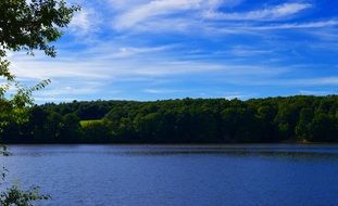 panorama of summer lake