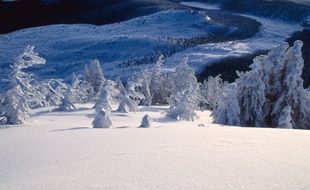 snow landscape in oregon