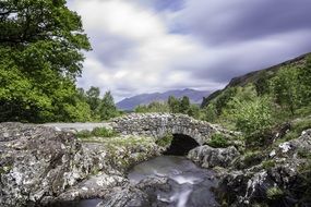 Picture of Bridge and lake