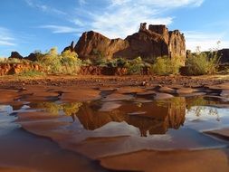 rock formations in arches national park on a sunny day