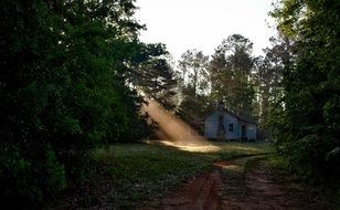 rural landscape at dawn in alabama