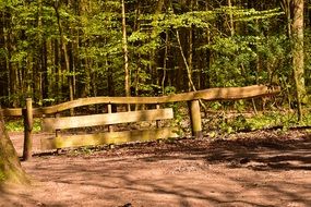 wooden fence in a green forest