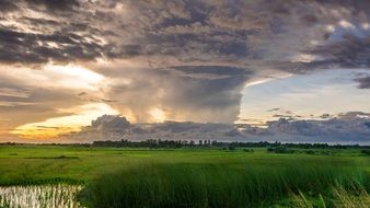 thunderclouds over a green summer meadow