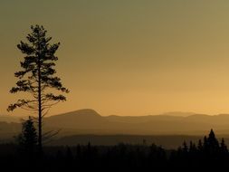 Mountains Trees hazy Landscape