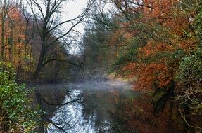 morning fog over a forest river