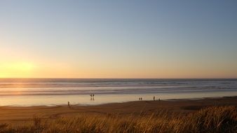 people on a sandy beach at sunrise