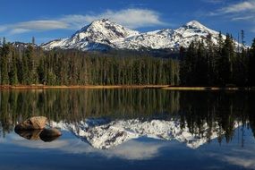 scenic landscape of willamette national forest