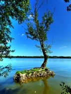 incomparable Lake Trees Landscape