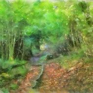 trail in the summer green forest