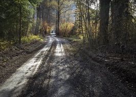 road in Montana Glacier National Park