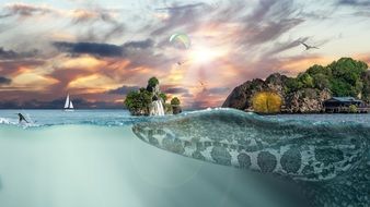 Crocodile Sea Islands drawing
