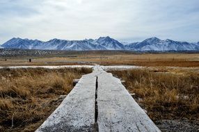 amazing Path Landscape