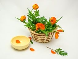 orange Flowers in Basket