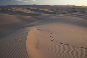 footprints in the sand in the desert