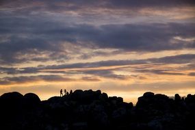 silhouettes of people in joshua tree national park at sunset