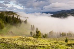 romantic sunrise in Mountains foggy scene