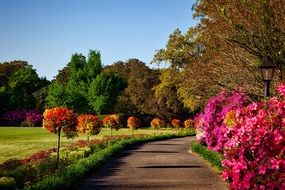 Beautiful and colorful Bellingrath gardens in Alabama