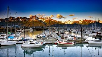 Picture of sailboats in Seward at dusk