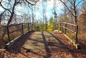 Beautiful bridge among the colorful plants in autumn