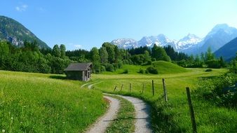 green forest mountains landscape nature