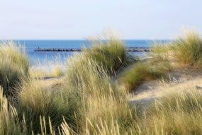 Landscape of mediterranean sea beach