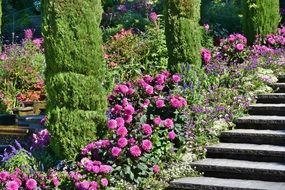 Park in flowers on the island of Mainau