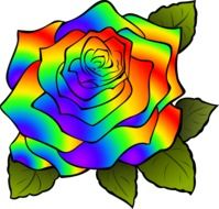 Rosa Flower Rainbow drawing