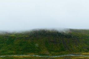 fog over green hill