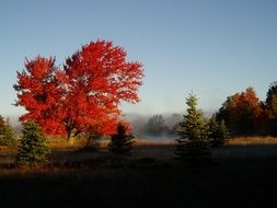Beautiful colors of the beautiful autumn