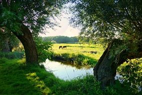 dutch countryside landscape