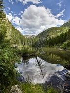 wild nature landscape on a sunny day