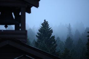 view of the forest in thick fog