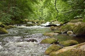 Bode River among stones in a deciduous forest