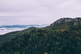 white clouds over green mountain