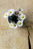 Daisy Vase