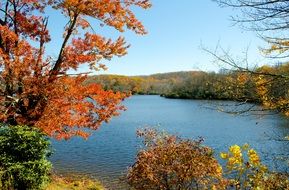 Autumnal Julian Price Lake