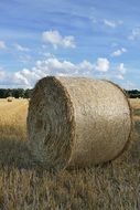 close up photo of bale of straw on a field