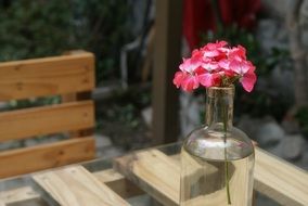 bright flowering branch in a glass jar