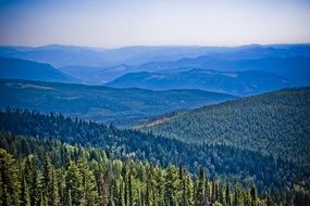 beautiful view of the forest from above