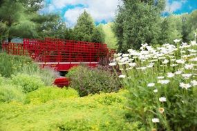 red walking bridge in the park