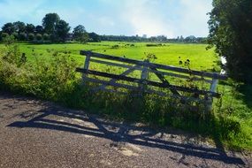 part of a wooden fence on a green dutch pasture