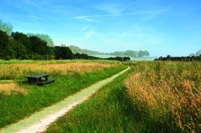 Path on the field