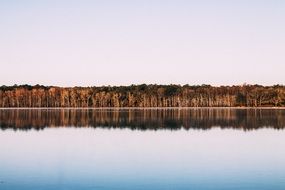 autumn forest along the shore of a calm lake