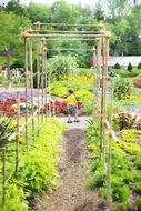 little boy in green Garden standing
